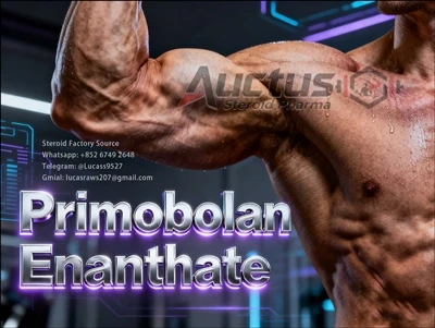 Primobolan Enanthate چه مدت اثر می گذارد؟ نقشه شماتیکی از اثرات پیشرونده آندر...