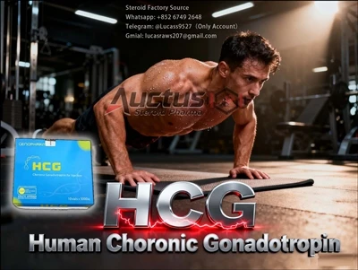HCG 5000 IU برای چه مواردی استفاده می شود؟ ارزش چند بعدی آن، از درمان پزشکی ت...
