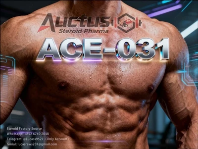آیا ACE{1}}031 می‌تواند عضله بسازد؟ پتانسیل عضله سازی و مرزهای تحقیقاتی مهارک...