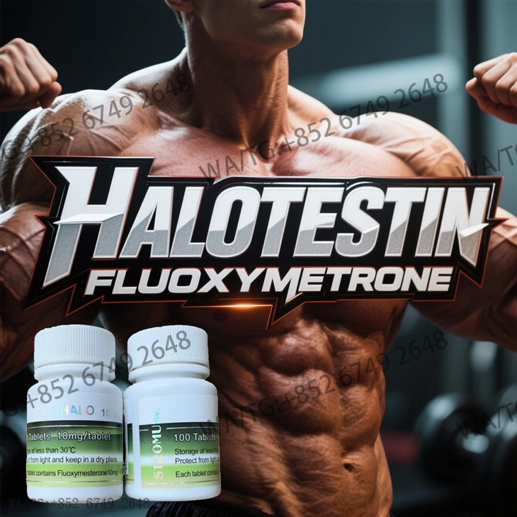 STROMUSC PILLS 10mg Halotestin(Fluoxymesterone) 100 Tablets suppliers